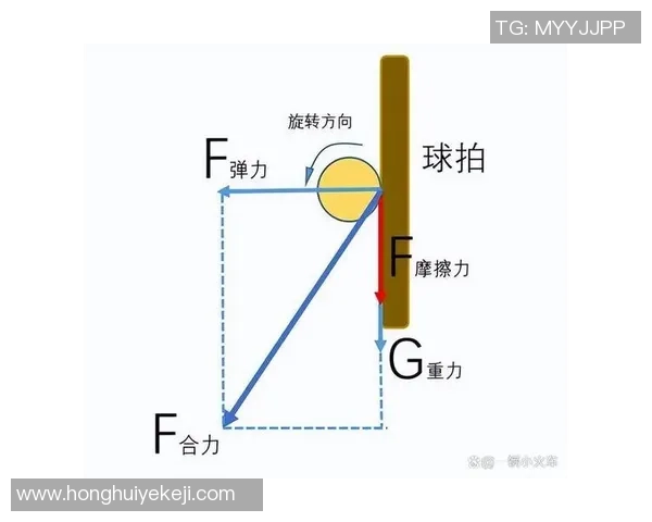 乒乓球新手必看:从基础技巧到个人能力提升的全面入门指南 乒乓球新手必看:从基础技巧到个人能力提升的全面入门指南